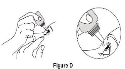 Figure-d (599cbb55 78b6 467b 8762 Fe20c11b013e 05)