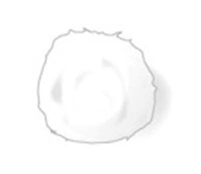 cotton ball - orencia ai cotton1