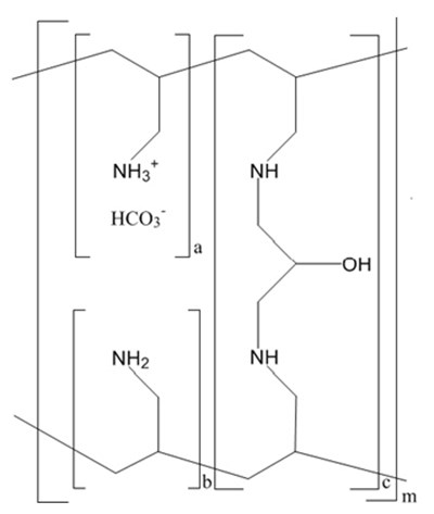 Chemical Structure/figure 1 (Sevelamer Carbonate Tabs Fig01)