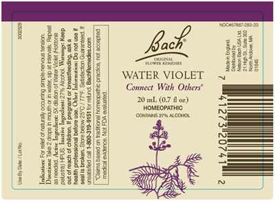 Principal Display Panel (20 mL Bottle Label)
