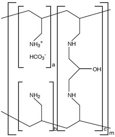 sevelamer-01.jpg Chemical Structure - sevelamer 01