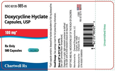 Principal Display Panel (100 mg Capsule Bottle Label)