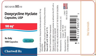Principal Display Panel (100 mg Capsule Bottle Label)