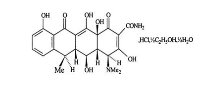 spl-image1-structure.jpg Structure - spl image1 structure