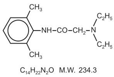 5b56d2dc-a408-404d-bc27-c953843c75c0-01.jpg Image - 5b56d2dc a408 404d bc27 c953843c75c0 01