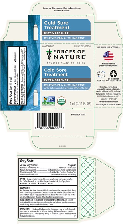 cold-sore-treatment-01.jpg Principal Display Panel - 4 ml Bottle Carton - cold sore treatment 01