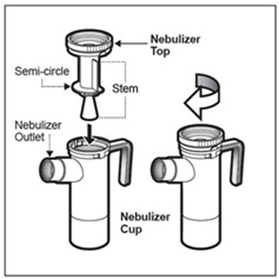 Figure K (Tobramycin Fig13)