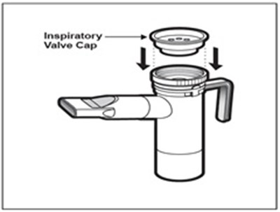 Figure M (Tobramycin Fig15)
