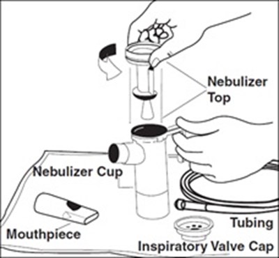 Figure D (Tobramycin Fig6)