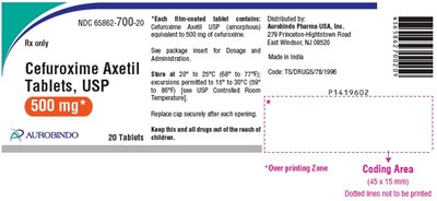 Package Label-principal Display Panel -500 mg (20 Tablets Bottle) (Cefuroxime Axetil Fig3)