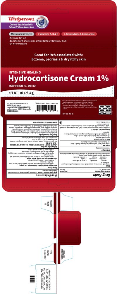 walgreens-01.jpg PRINCIPAL DISPLAY PANEL - 28.4 g Tube Carton - walgreens 01