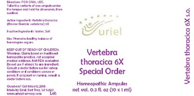 Vertebrathoracica6soampules