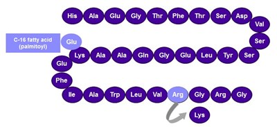 Structural Formula (Image 01)