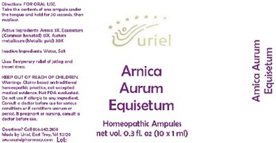 Arnicaaurumequisetumampule (Arnicaaurumequisetumampule)