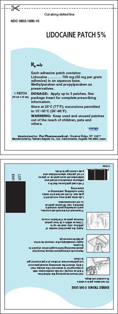 Pouch Image (Lidocaine Patch 3)