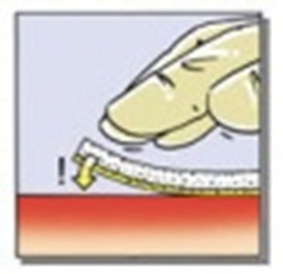 5645ecf4-5666-4393-8503-56ff9e05619d-05.jpg 22a - 5645ecf4 5666 4393 8503 56ff9e05619d 05