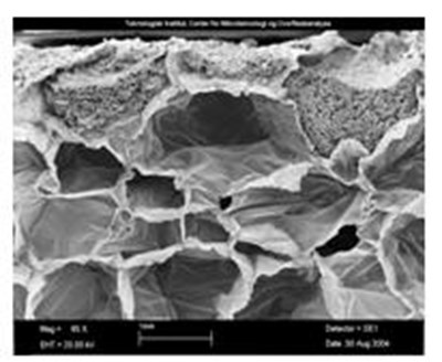 5645ecf4-5666-4393-8503-56ff9e05619d-08.jpg 12a - 5645ecf4 5666 4393 8503 56ff9e05619d 08