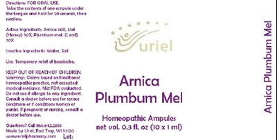 Arnicaplumbummelampules