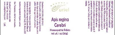 Apisreginacerebripellets