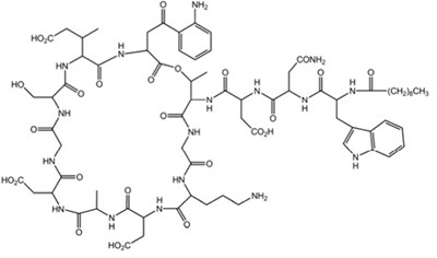 structure - daptomycin structure