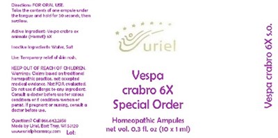 VespaCrabro6SOAmpules