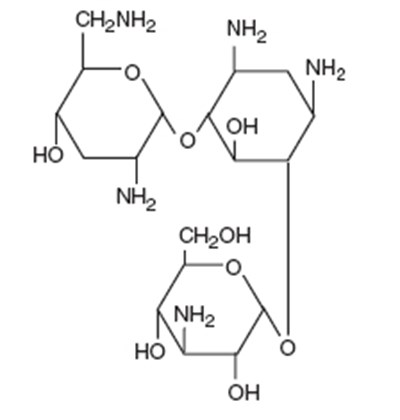 25a3b95c-5707-4608-b820-68663f061dc2-01.jpg Tobramycin (structural formula) - 25a3b95c 5707 4608 b820 68663f061dc2 01