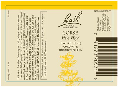 Principal Display Panel (20 mL Bottle Label)