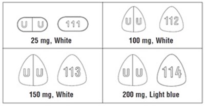 6b93b93c-685b-4ca0-8663-a9e90273c423-789-2.jpg Image - 6b93b93c 685b 4ca0 8663 a9e90273c423 789 2