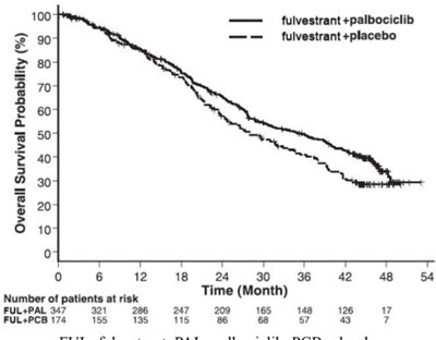 Figure 10 - ful0d 0000 11