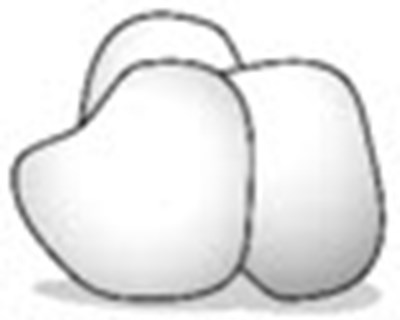 Figure 8 (Tryngolza 08)