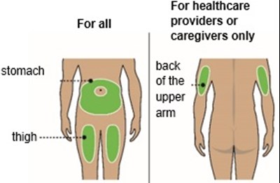 Figure 12 (Tryngolza 12)