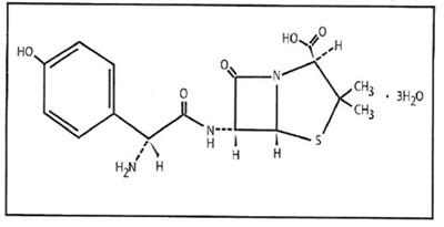 Amoxicillin Chemical Structure (Amoxicillin Caps Stada Dava 1)