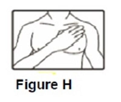 Instruction-figureH.jpg - Instruction figureH