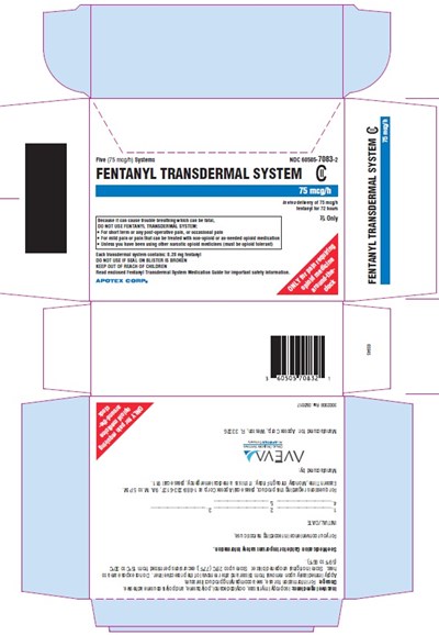 75mcg-hr-Carton - 75mcg hr Carton