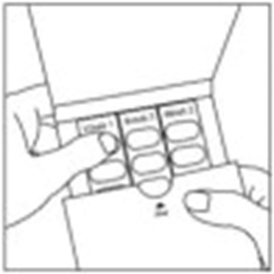 imv00-0004-03.jpg Figure - imv00 0004 03