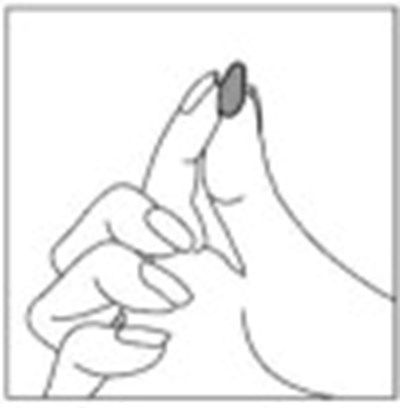 imv00-0004-04.jpg Figure - imv00 0004 04