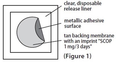 Figure-1 (Figure 1)