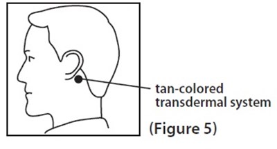 Figure-5 (Figure 5)