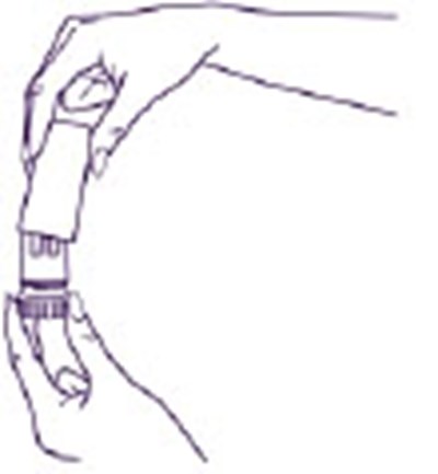 Figure 2 (Image 05)