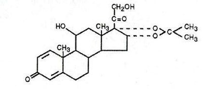 Image 1 (84bf5a4e 9b3d 41b4 9a13 6144790e00c5 01)