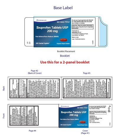 PACKAGE LABEL-PRINCIPAL DISPLAY PANEL - 200 mg (100 Tablet Bottle) - ibuprofen caplets fig1