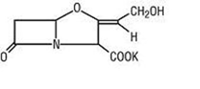 Clavulanic Acid Structural Formula (Image 2)