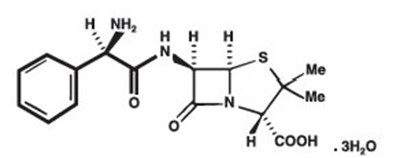 Structure (1422ac93 067c 489b 9b95 17cd00303f4c 01)