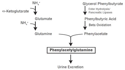 Fig (Glycerol Fig1)