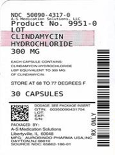 Label Image - lbl500904317