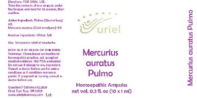 Mercuriusauratuspulmoampules (Mercuriusauratuspulmoampules)