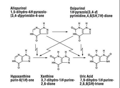 Allopurinol-ros (Allopurinol Ros)