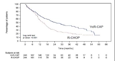 Figure 5 - bortezomib 06