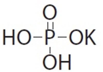 1 (Potassium Phosphates Injection Novaplus 1)