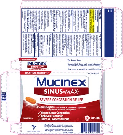 Principal Display Panel (20 Caplet Blister Pack Carton)